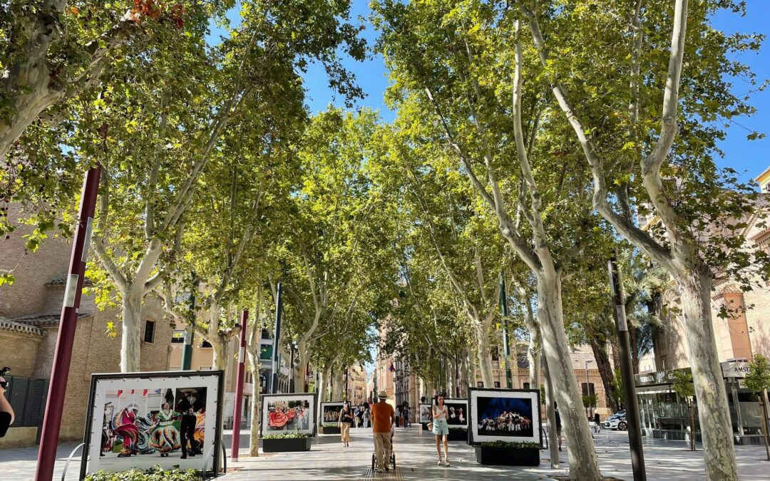 Activado el aviso naranja por temperaturas de hasta 40 grados en la Región este fin de semana