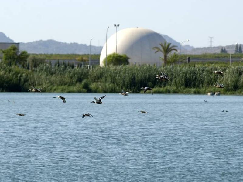 Depuradoras de la Comunidad suministran agua tratada y regenerada para mantener diversos humedales de la Región de Murcia