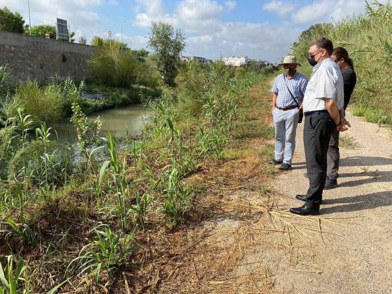 El Ayuntamiento y ANSE recuperan el bosque de ribera en el río Segura a su paso por El Raal