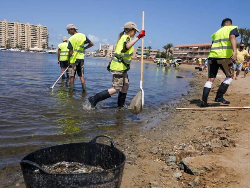 Reabren seis de las ocho playas del Mar Menor que cerraron por la aparición de peces muertos