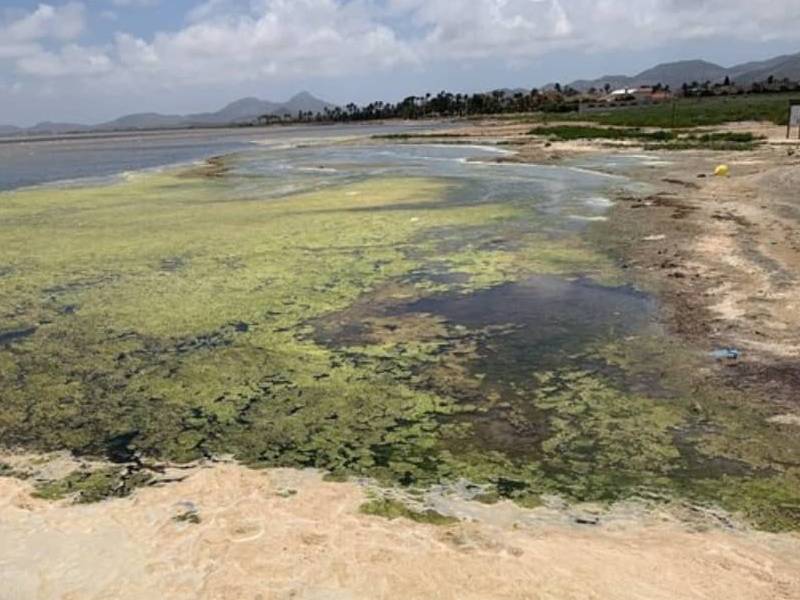 Podemos reprocha a López Miras estar «desaparecido» ante la nueva crisis que vive el Mar Menor