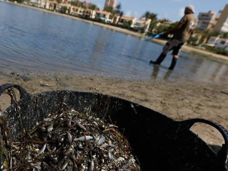 El Colegio de Biólogos considera «una temeridad sin evidencia científica» el dragado de la gola de Marchamalo