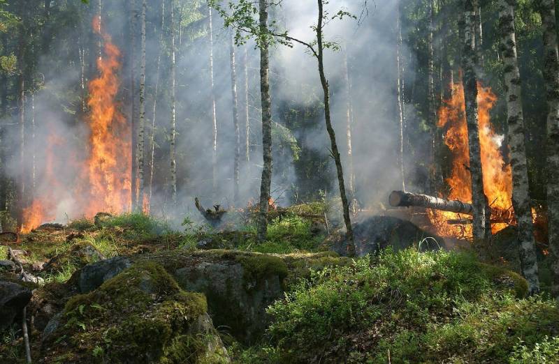 incendio forestal en España